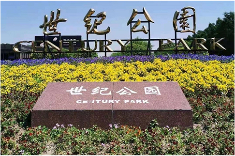 مشروع ZHSU - حديقة شنغهاي سينشري